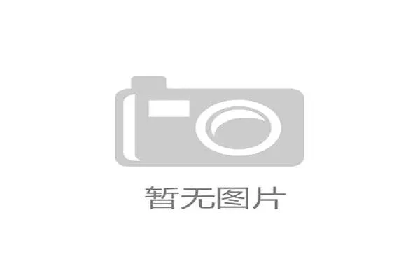 勒沃库森球迷用黄黑围巾拼出巨龙图案，提前庆祝俱乐部120周年诞辰